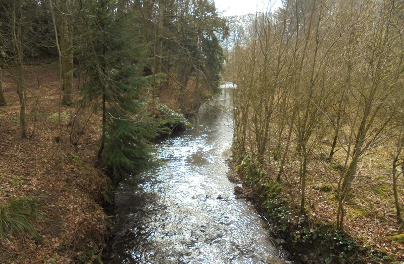 Unknown burn through Rankeilour Estate