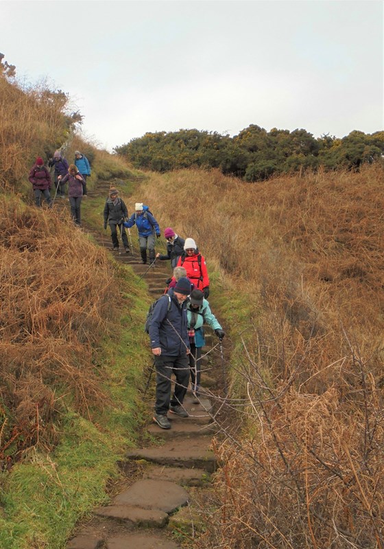 Negotiating coastal path