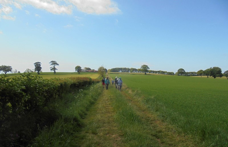 Through the field to Abercrombie church