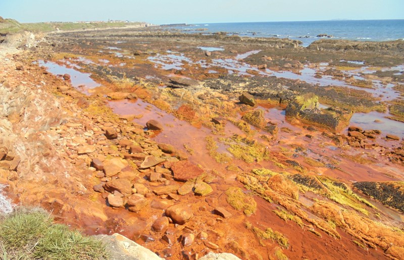 Sandstone discolouration on the beach