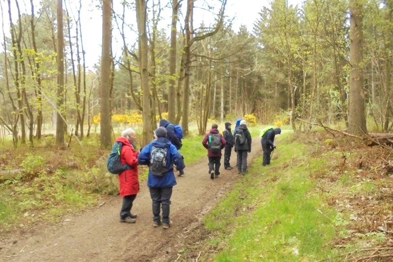 Admiring the flowers