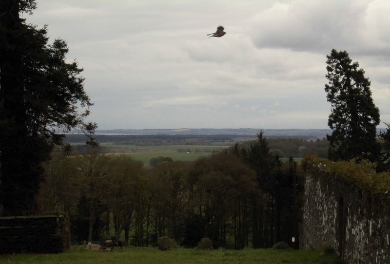View towards Tentsmuir