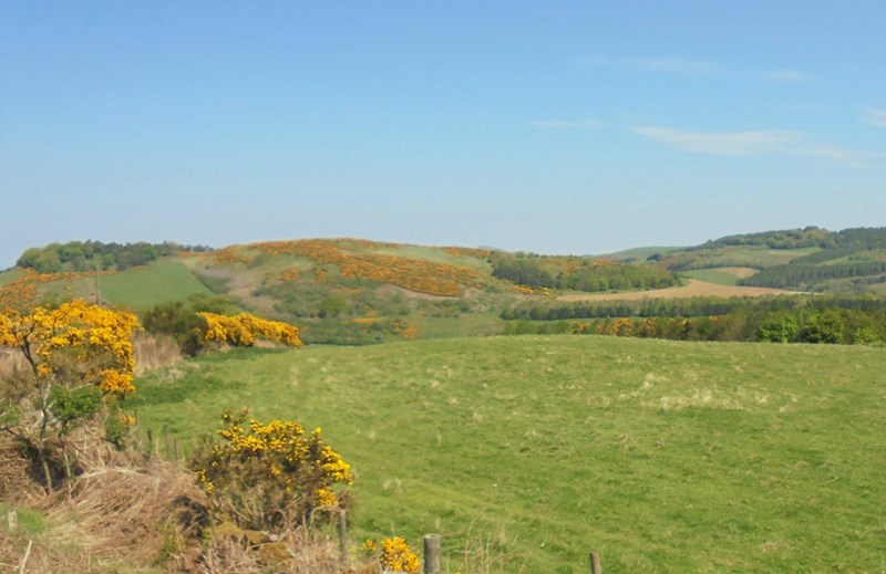 View of Cairnie Hill