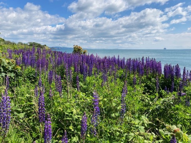 En route to East Wemyss