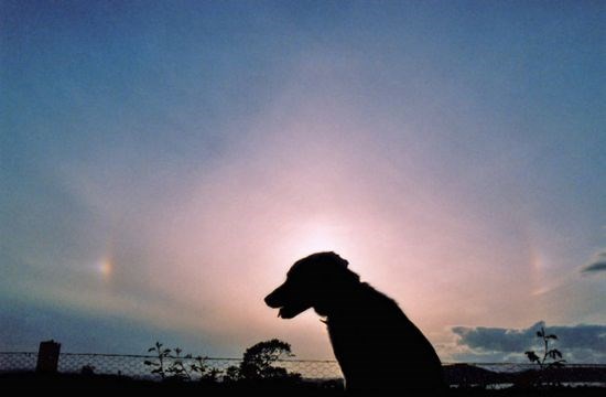 Sundogs 06/2005 - Les Gamble