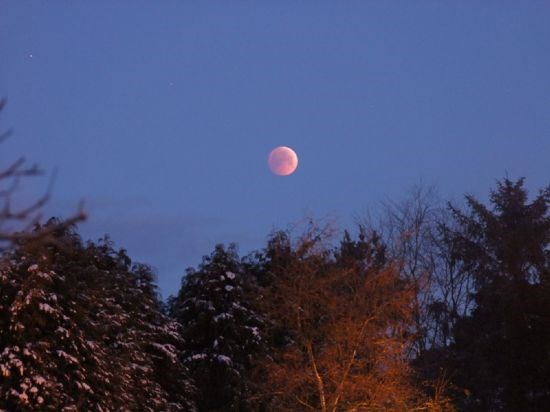 Lunar Eclipse 21/12/10 - Ian Drysdale