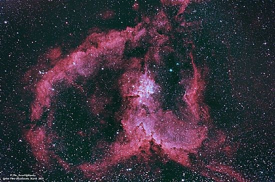 Heart Nebula in Cassiopeia (Eric Walker)