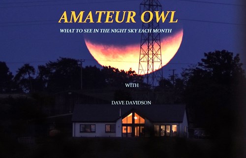 October Amateur Owl