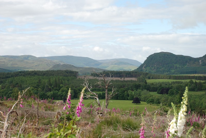 Looking up Strathnairn from Creag nan Gobhair