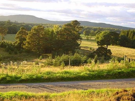 Farr as seen from Gaick