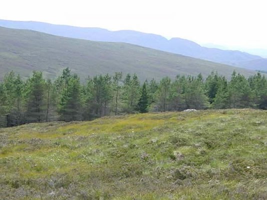 Looking towards Creag Dubh, Flichity, from the Sealbhanaich
