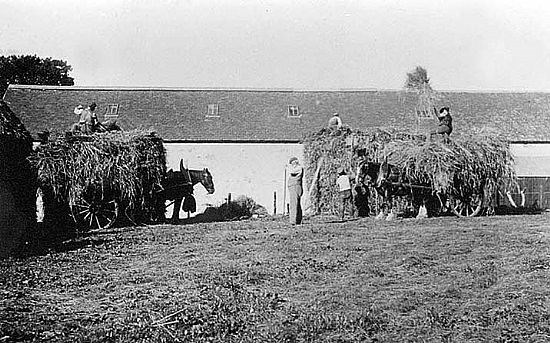 Black and white photo of a barn or steading with carts loaded with hay and pulled by horses.