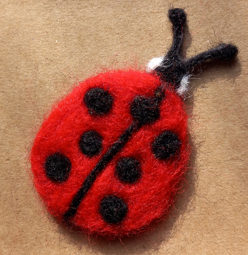 Ladybird