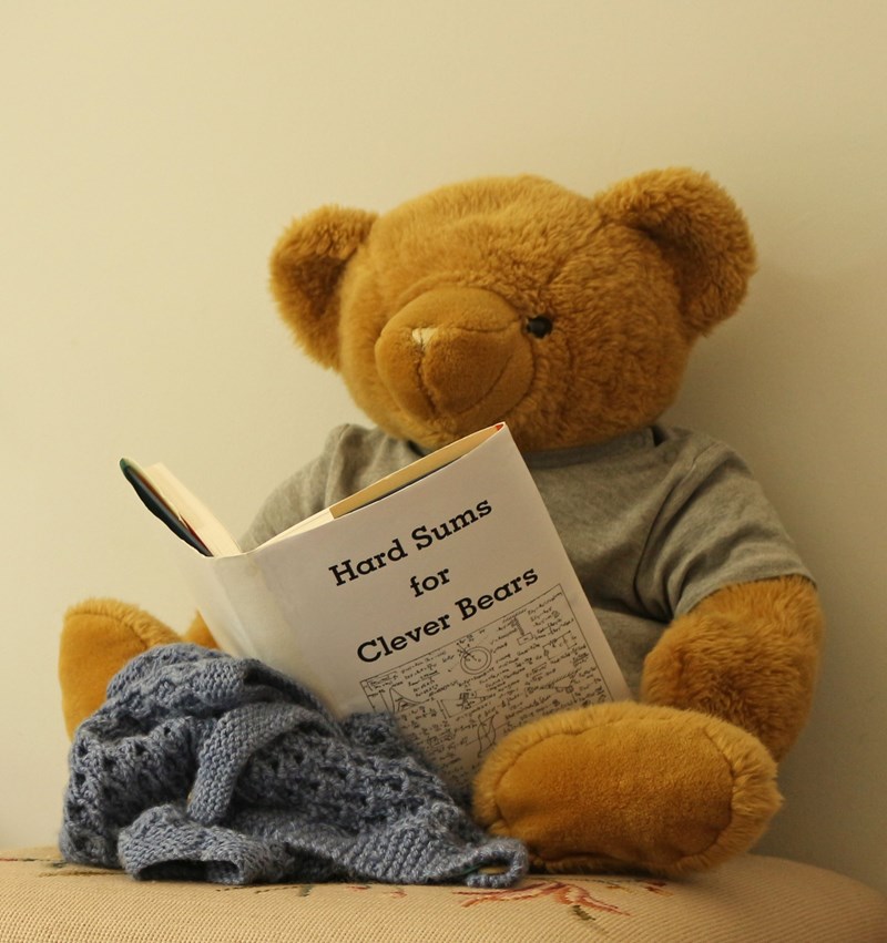 Big Ted reading his sums book