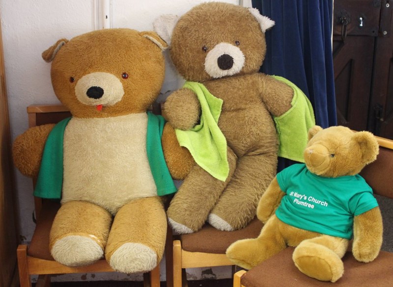 Big Ted chatting to teddy bears