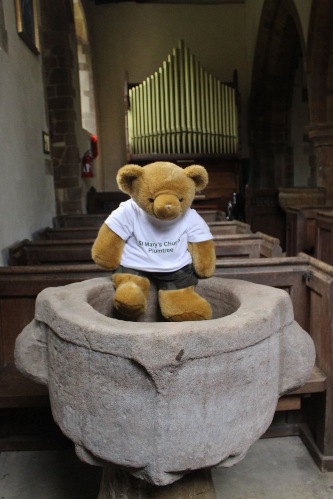 Big Ted sitting on font