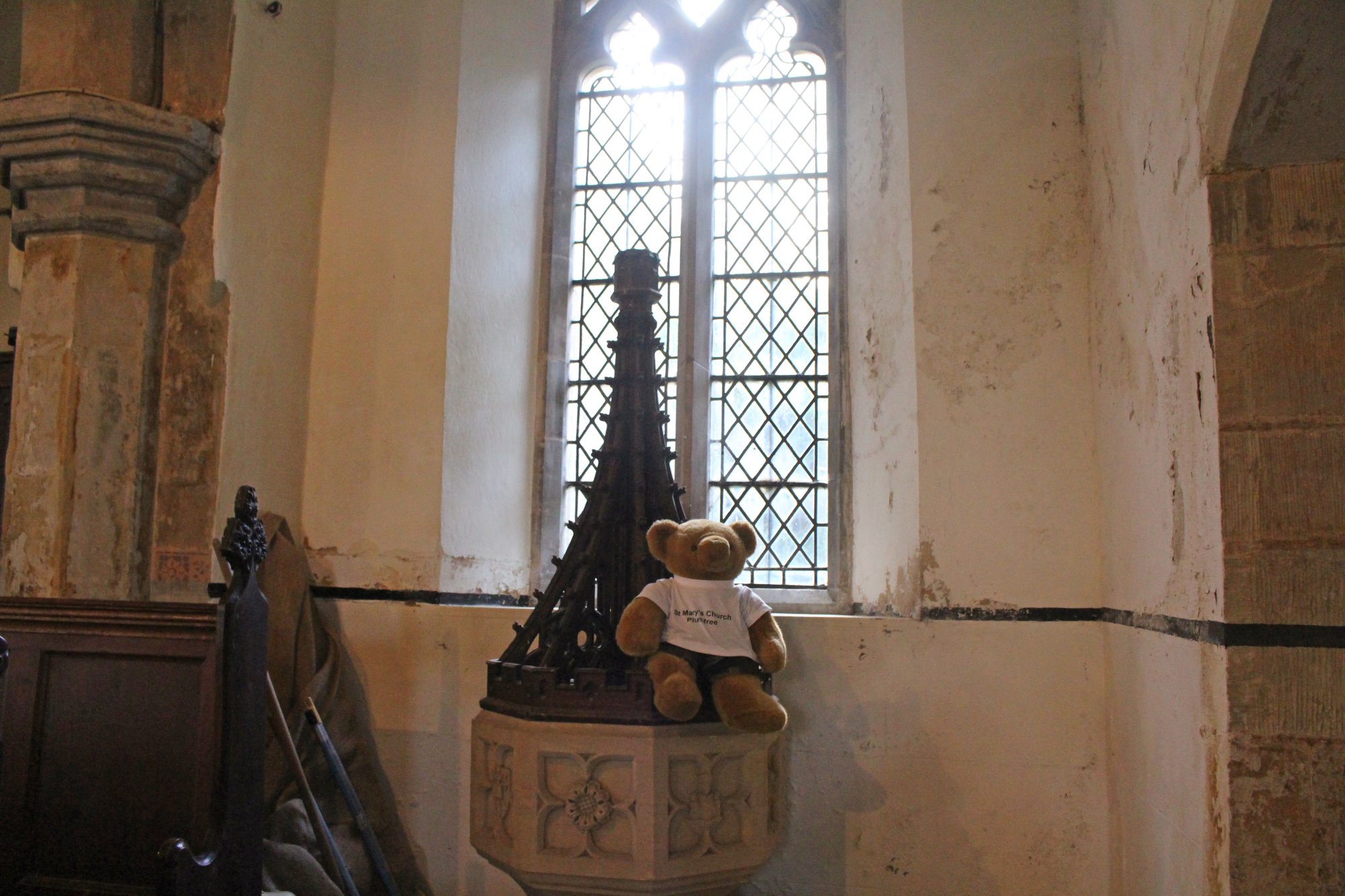 Big Ted sitting on font