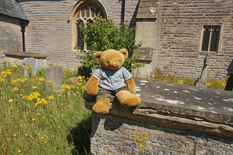 Big Ted sitting on a tomb in the sun