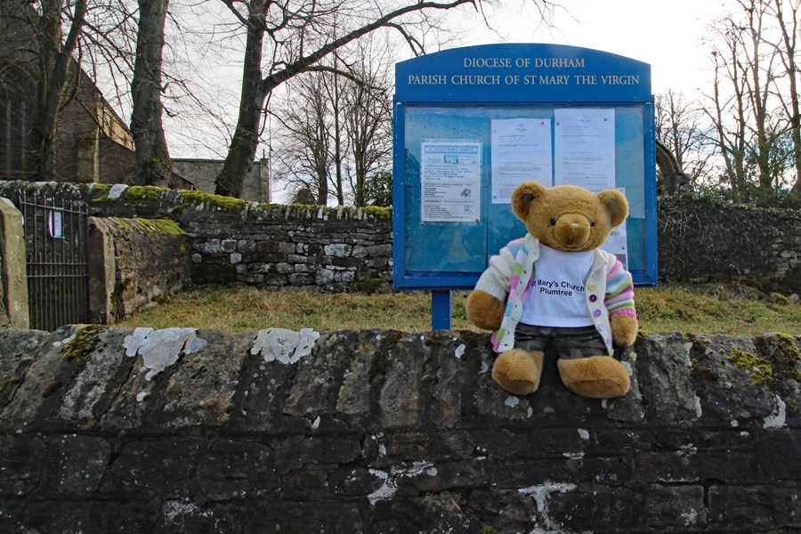 Middleton in Teesdale (318)