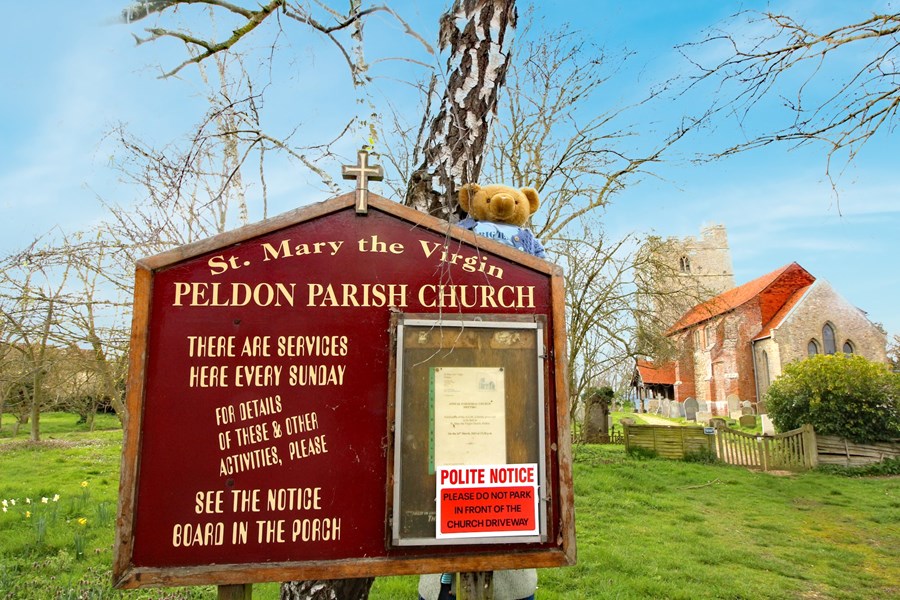 Peldon (426)