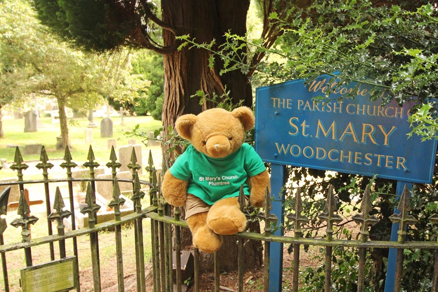 Woodchester (166)