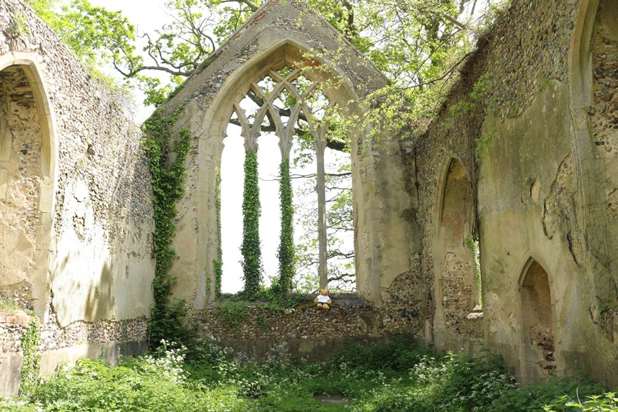 Tivetshall St Mary (497)