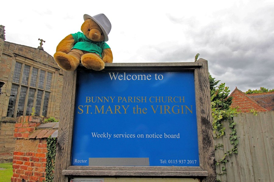 Bunny (112)