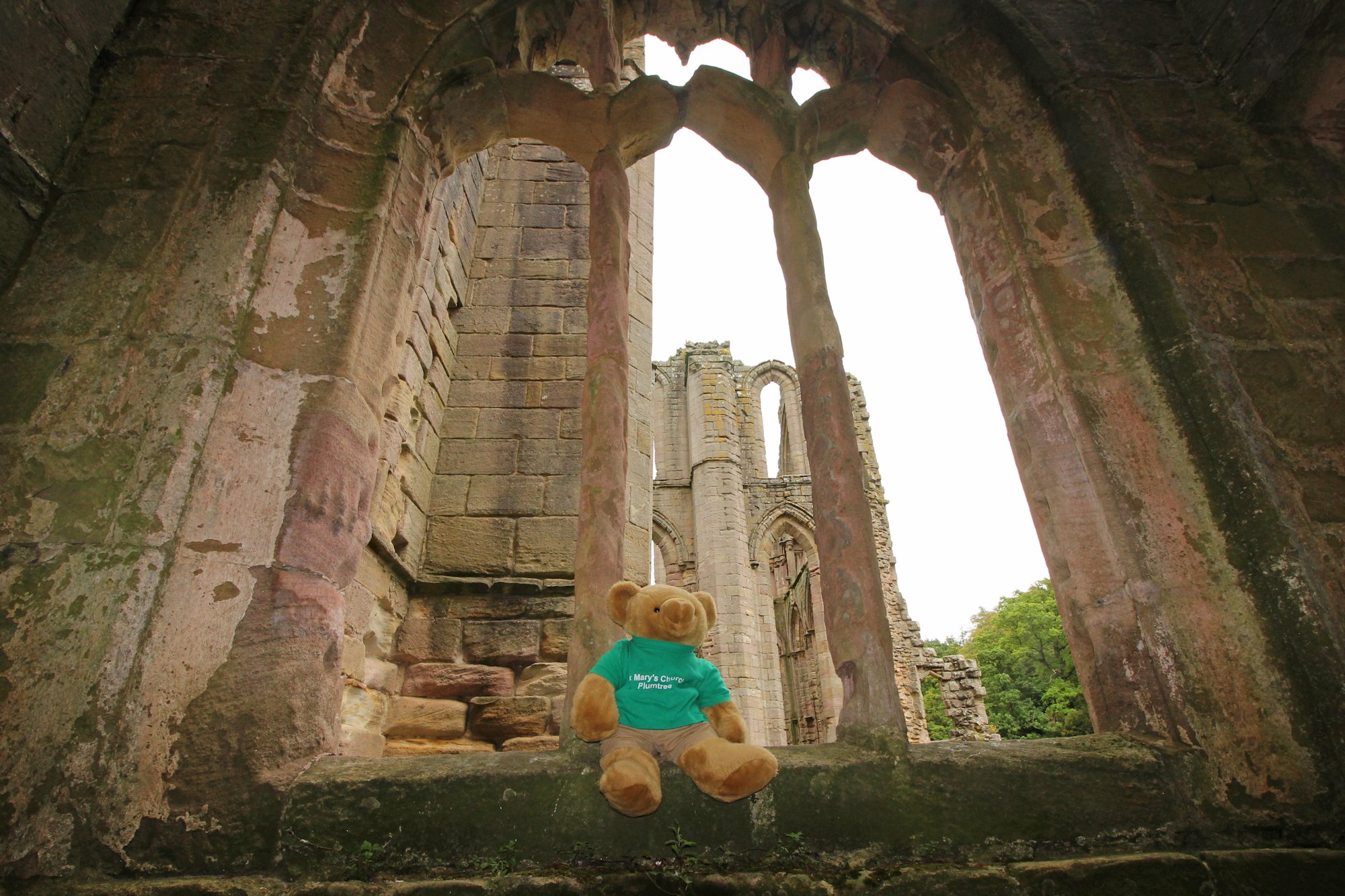 Fountains Abbey, Yorkshire (247)