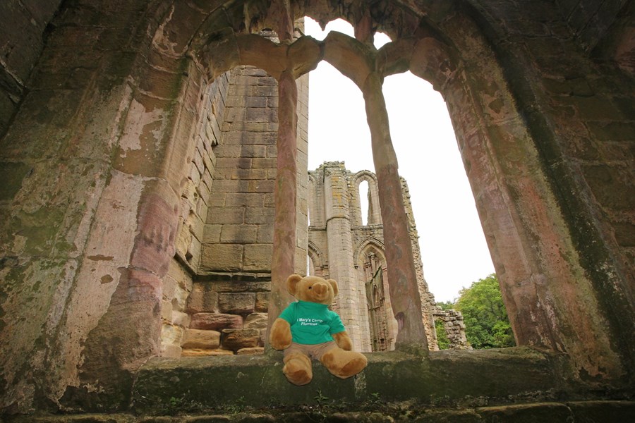 Fountains Abbey (247)