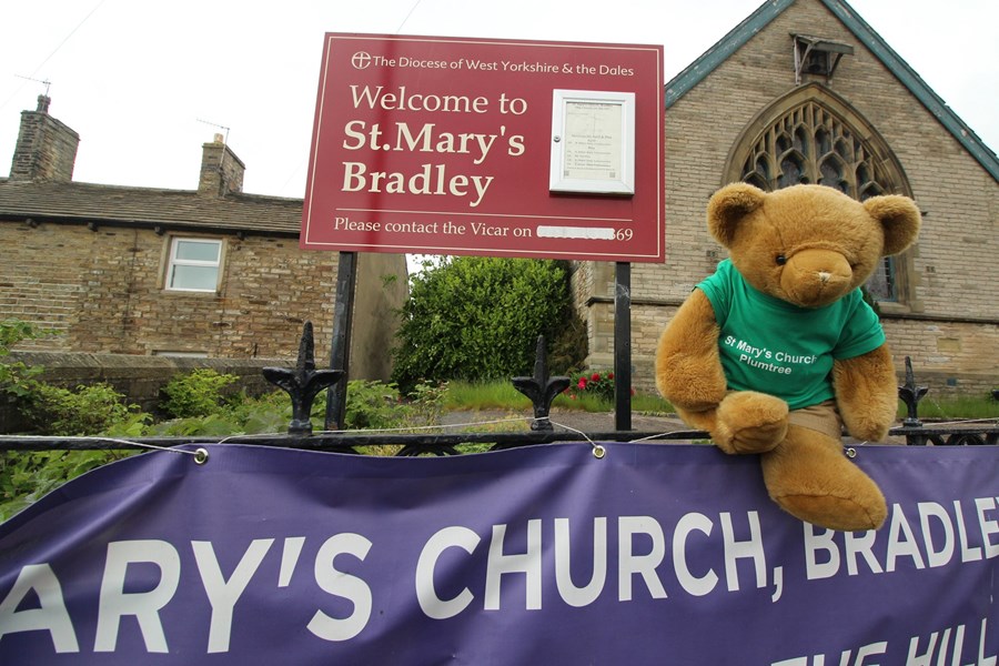 Bradley (261)