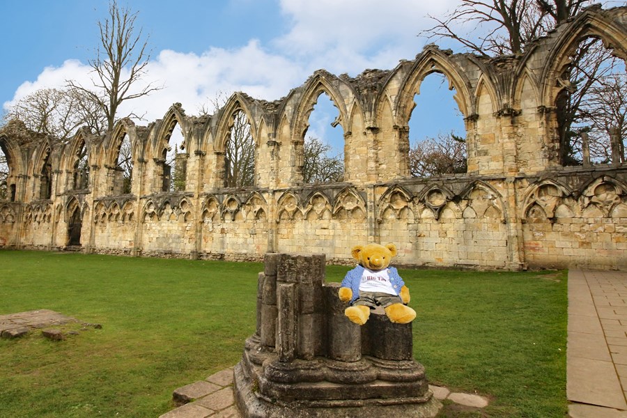 York (512)