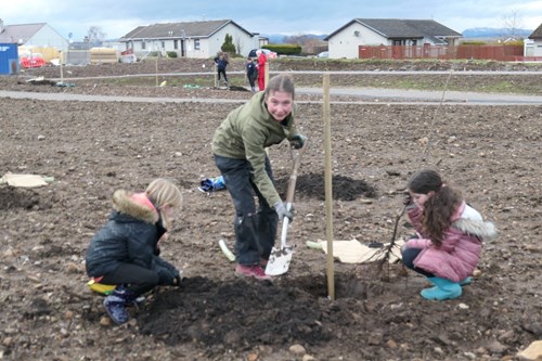Glascairn Tree Planting Article