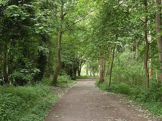 Craiglockhart Dell