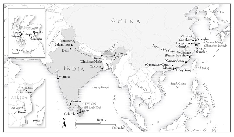 Putting the Tea in Britain