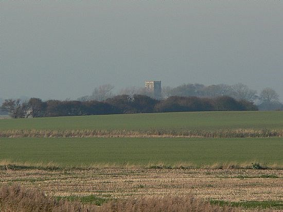 View from the River Bank