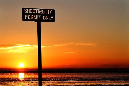 View from the River Bank