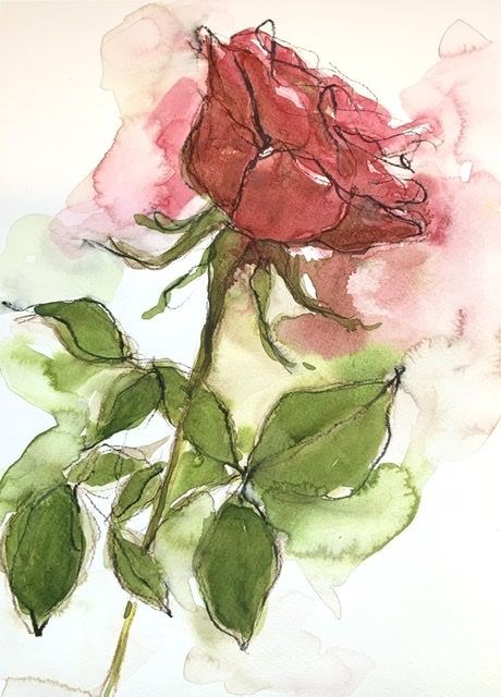 Eternal Red Rose