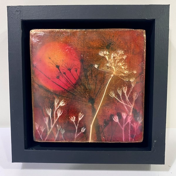 Maywine (SOLD)