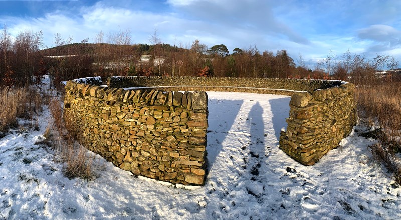 Black Bob Stell in the snow