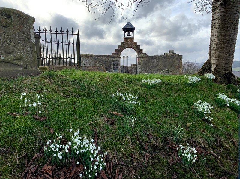 The Kirk and snowdrops