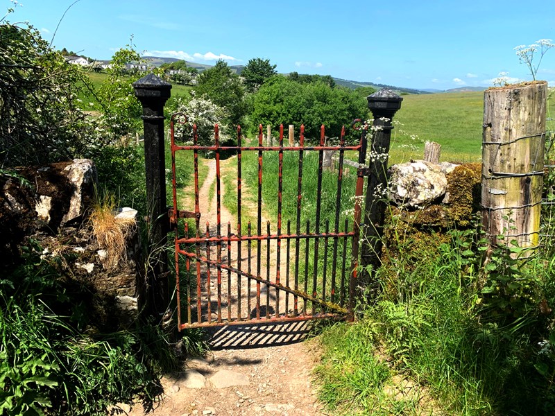 Selkirk Hill in the sun