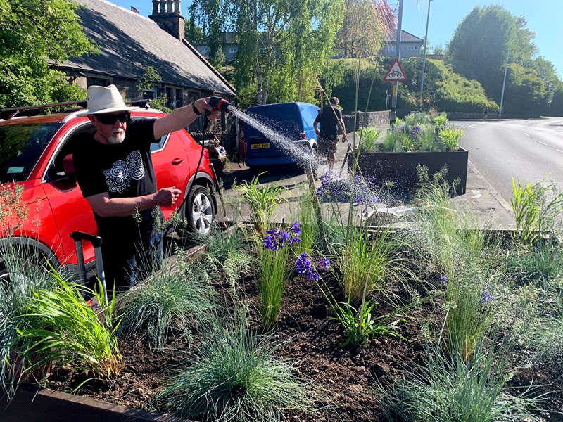 Toll Planting has started!