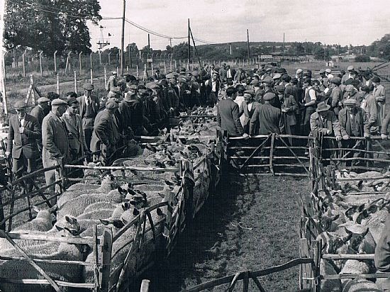 Manor Farm - Lower Arncott - 1950's Credit: Jim May