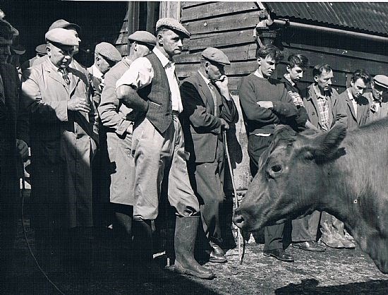 Manor Farm - Lower Arncott - 1950's Credit: Jim May