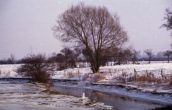 River Ray - Winter 1984/85 Credit: Peter Moore