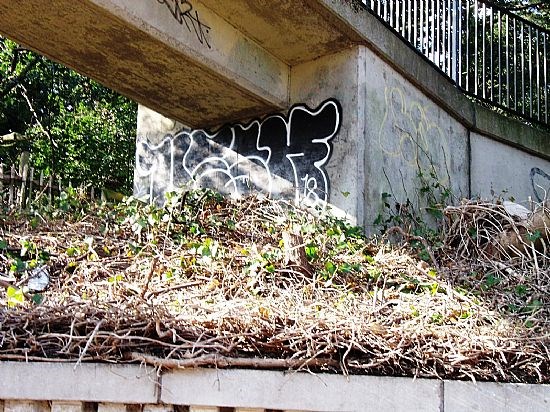 Footbridge over Lanark Rd