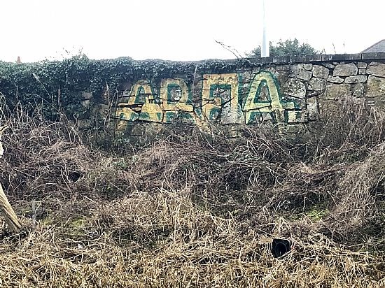 Rear of boundary wall between lanark rd and union canal at Stoneyport