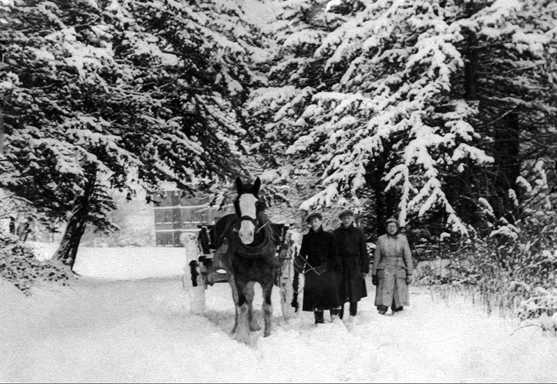Douglas and Peggy Renwick's milk cart in the winter of 1947