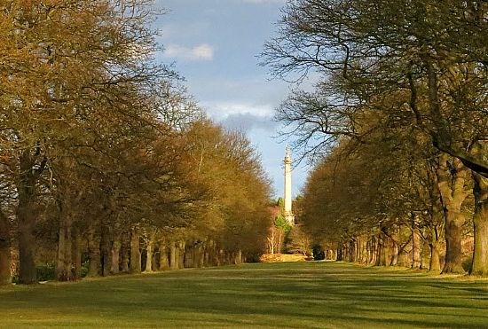 The Avenue by Tony Blackett