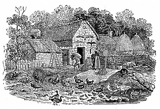 Bewick's Engraving of a farmyard